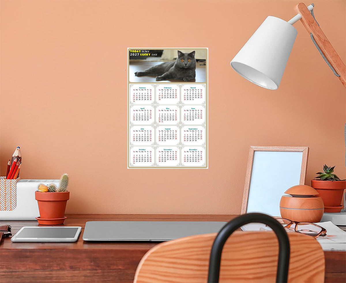 2027 Peel & Stick Calendar - Today is my Lucky Day Removable - Cat 014 (9"x 6")