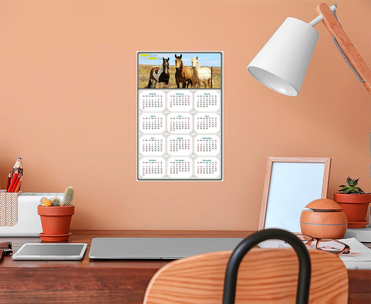 2027 Peel & Stick Calendar - Today is my Lucky Day Removable - Horses 07 (12"x 8")