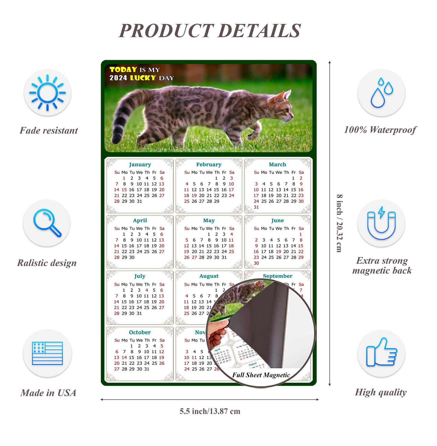 2024 Magnetic Calendar - Today is My Lucky Day (Fade, Tear, and Water Resistant)- Cat Themed 09