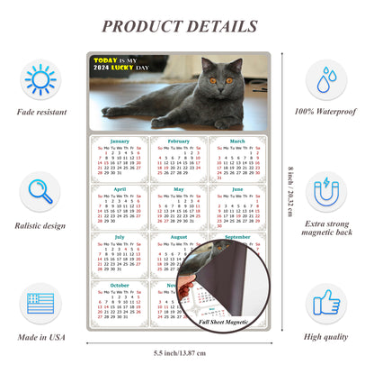 2024 Magnetic Calendar - Today is My Lucky Day (Fade, Tear, and Water Resistant)- Cat Themed 014