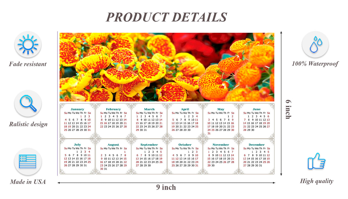 2026 Peel & Stick Calendar - Today is my Lucky Day - Removable, Repositionable - 013 (9"x 6")