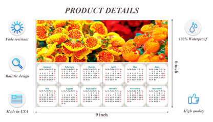 2026 Peel & Stick Calendar - Today is my Lucky Day - Removable, Repositionable - 013 (9"x 6")