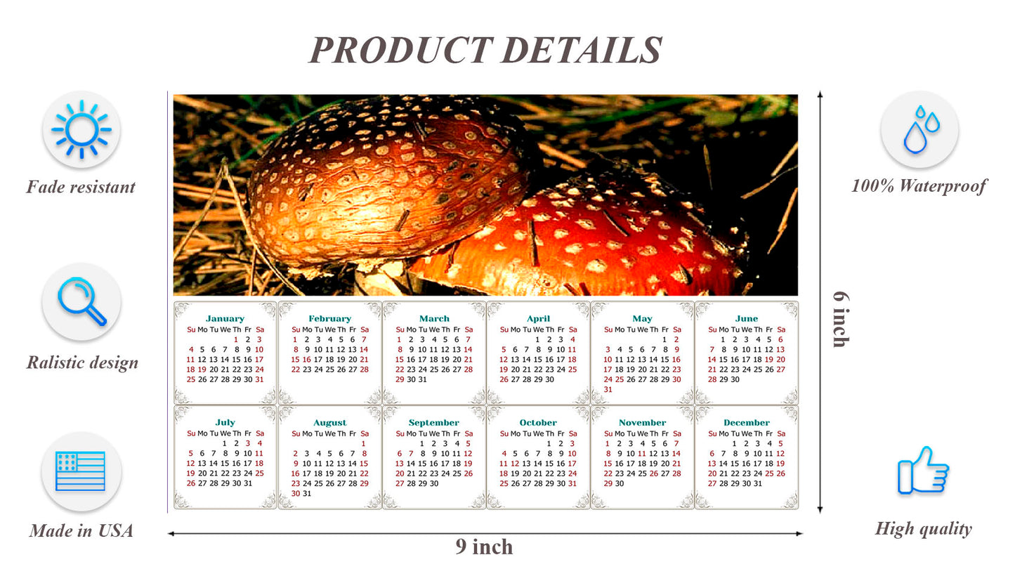 2026 Peel & Stick Calendar - Today is my Lucky Day - Removable, Repositionable - 038 (9"x 6")