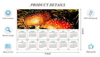 2026 Peel & Stick Calendar - Today is my Lucky Day - Removable, Repositionable - 038 (9"x 6")