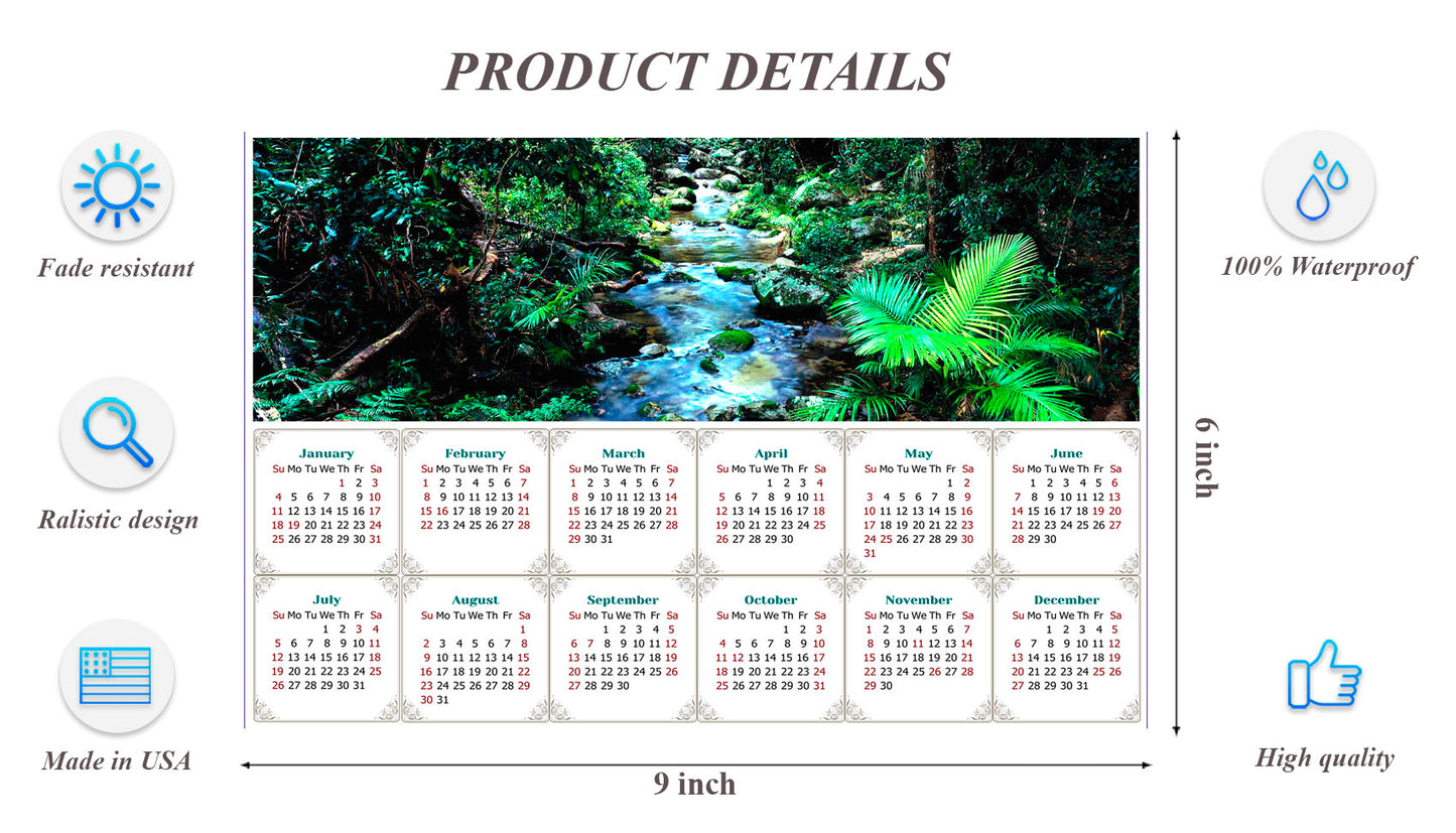 2026 Peel & Stick Calendar - Today is my Lucky Day - Removable - Daintree National Park (9"x 6")
