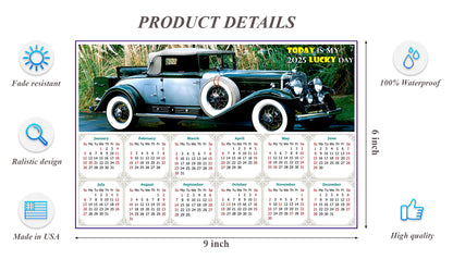 2025 Peel & Stick Calendar - Today is my Lucky Day - Removable, Repositionable - 045 (9"x 6")