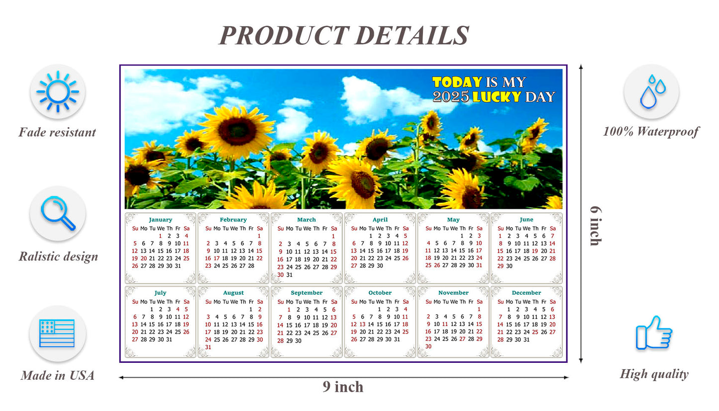 2025 Peel & Stick Calendar - Today is my Lucky Day - Removable, Repositionable - 034 (9"x 6")