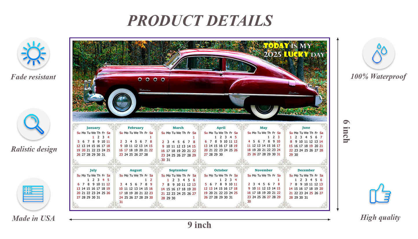 2025 Peel & Stick Calendar - Today is my Lucky Day - Removable, Repositionable - 047 (9"x 6")