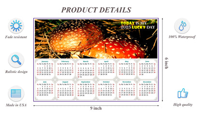 2025 Peel & Stick Calendar - Today is my Lucky Day - Removable, Repositionable - 038 (9"x 6")
