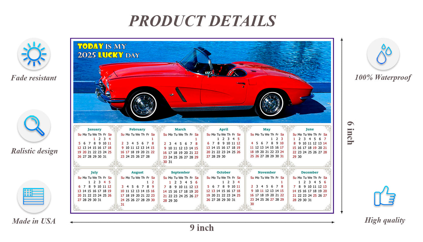 2025 Peel & Stick Calendar - Today is my Lucky Day - Removable, Repositionable - 048 (9"x 6")