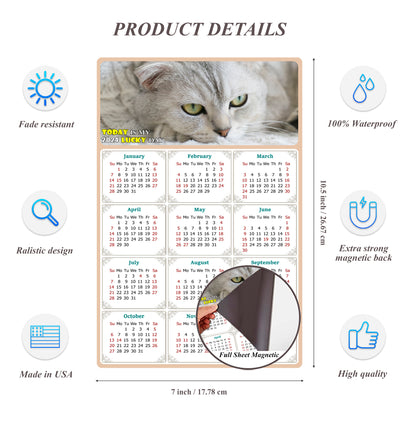 2024 Magnetic Calendar - Today is My Lucky Day (Fade, Tear, and Water Resistant)- Cat Themed 01