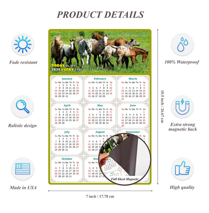 2024 Magnetic Calendar - Calendar Magnets - Today is my Lucky Day - (Fade, Tear, and Water Resistant) - Horses Themed 02