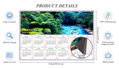 2024 Magnetic Calendar - Calendar Magnets - Today is My Lucky Day (Waipoua Kauri Reserve)