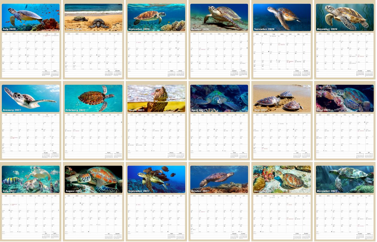 2026 - 2027 Calendar Magnetic Peel & Stick 18 Months 8.5" x 11" Turtles
