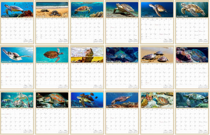 2026 - 2027 Calendar Magnetic Peel & Stick 18 Months 8.5" x 11" Turtles