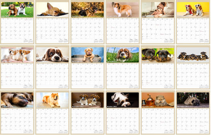 2027 Wall Calendar Spiral-bound Twin-Wire Binding - 12 Months Planner - Large Ruled Blocks with Julian Dates - (Dogs)