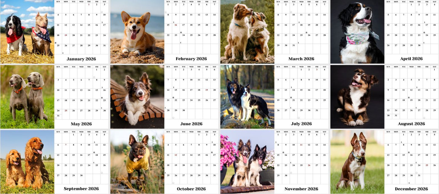 2026-12 Months Desk Calendar Desktop Planner with To-Do List (Dogs)