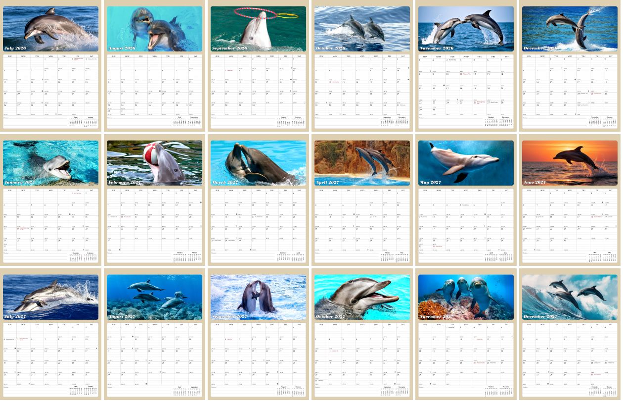 2026 - 2027 Calendar Magnetic Peel & Stick 18 Months 8.5" x 11" Dolphins