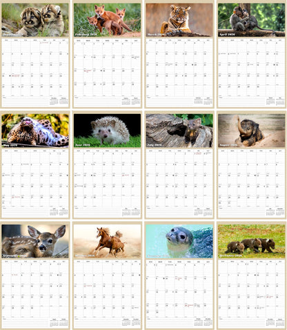 2026 Wall Calendar Spiral-bound Twin-Wire Binding - 12 Months Planner - Large Ruled Blocks with Julian Dates - (Baby Animals)