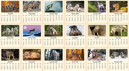 2026-2027 CD-Style Desk Calendar 18 Months Calendar (Wolves)