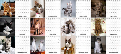 2026-12 Months Desk Calendar Desktop Planner with To-Do List (Cats)