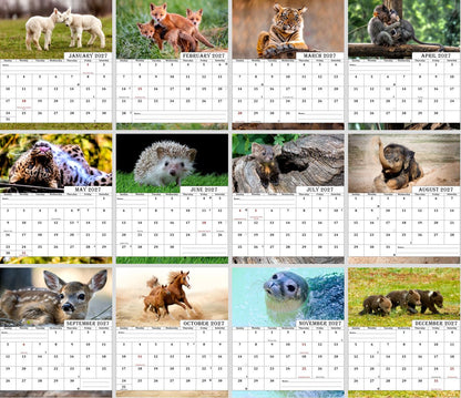 2027-12 Months Desk Calendar Desktop Planner with To-Do List (Baby Animals)