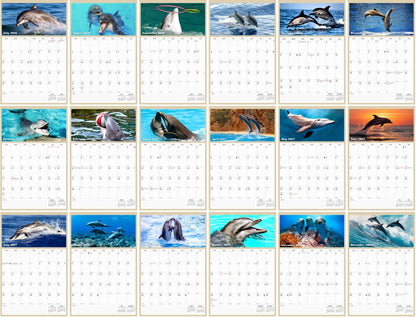 2026 - 2027 Wall Calendar Spiral-bound Twin-Wire Binding - 18 Months Planner - Large Ruled Blocks with Julian Dates - (Dolphins)