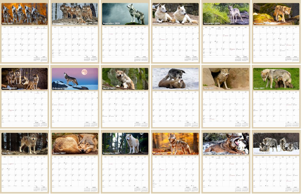 2026 - 2027 Calendar Magnetic Peel & Stick 18 Months 8.5" x 11" Woolfs