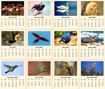 2027 CD-Style Desk Calendar 12 Months Calendar (Birds)