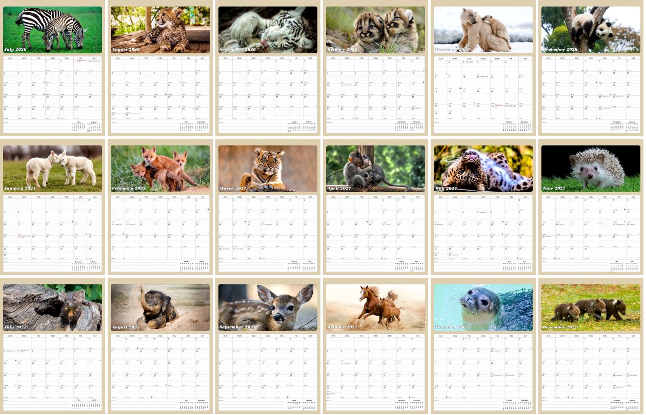 2026 - 2027 Calendar Magnetic Peel & Stick 18 Months 8.5" x 11" Baby Animals