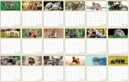 2026 - 2027 Calendar Magnetic Peel & Stick 18 Months 8.5" x 11" Baby Animals