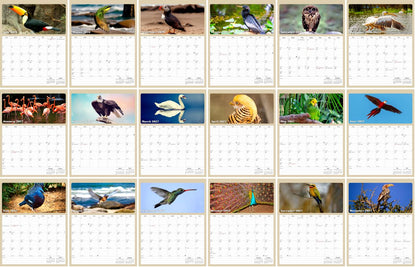 2026 - 2027 Calendar Magnetic Peel & Stick 18 Months Planner 8.5" x 11"