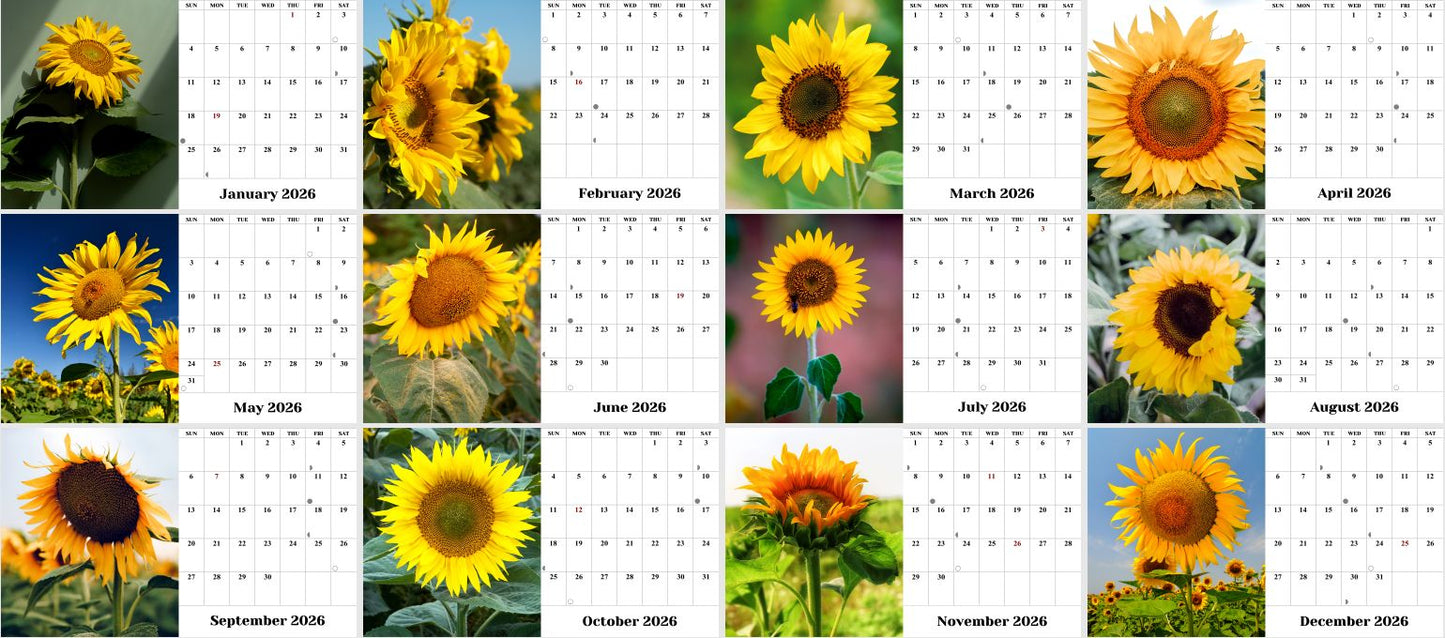 2026-12 Months Desk Calendar Desktop Planner with To-Do List (Sunflowers)