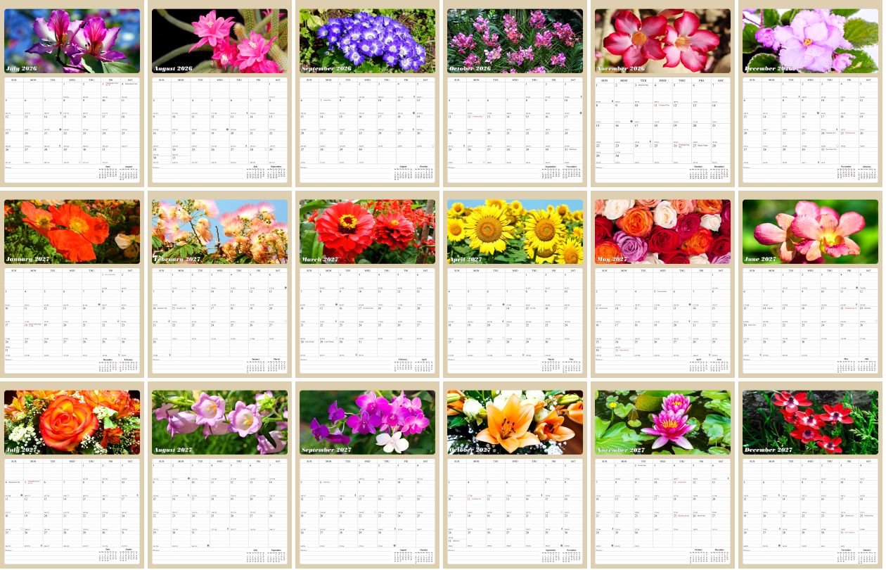 2026 - 2027 Calendar Magnetic Peel & Stick 18 Months 8.5" x 11" Flowers