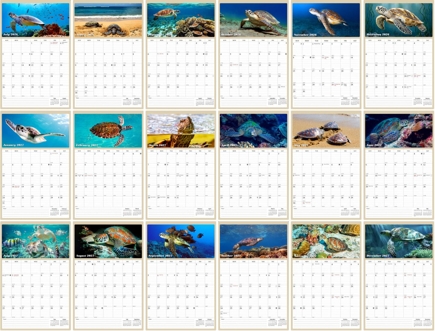 2026 - 2027 Wall Calendar Spiral-bound Twin-Wire Binding - 18 Months Planner - Large Ruled Blocks with Julian Dates - (Turtles)