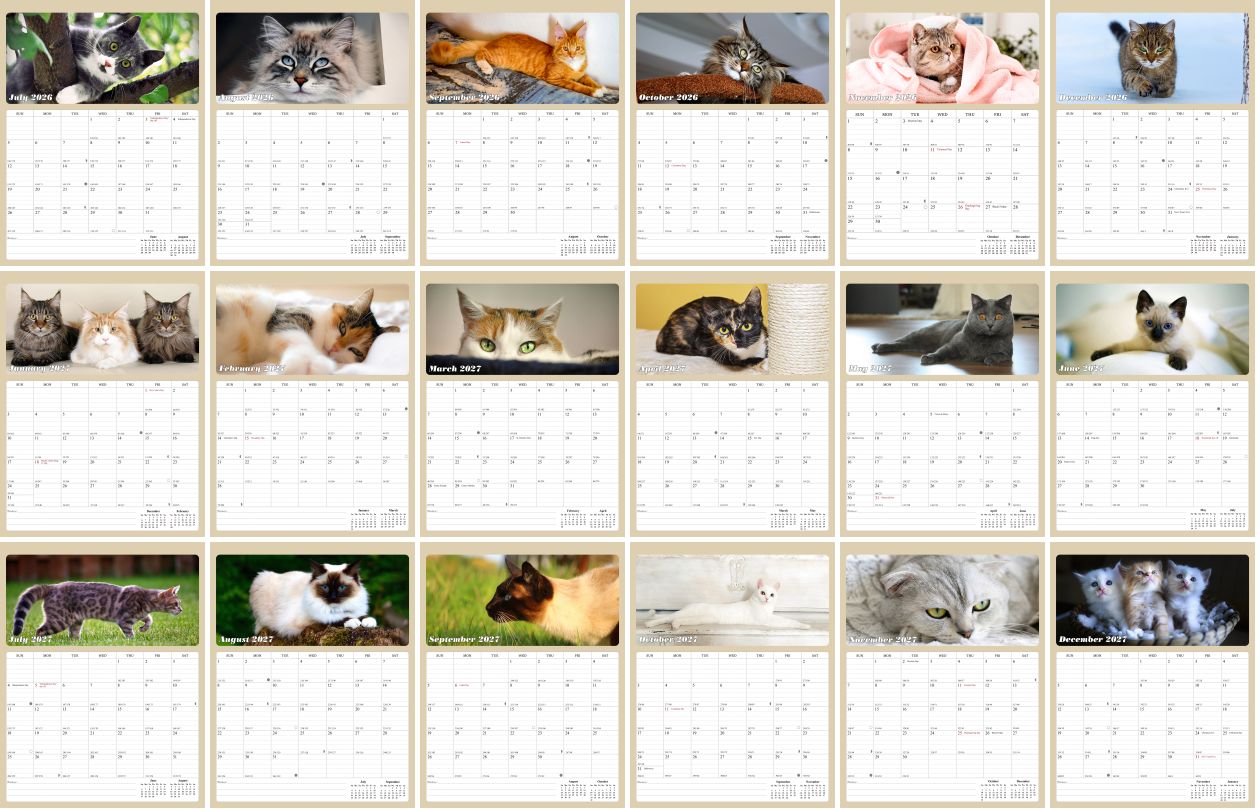 2027 Wall Calendar Spiral-bound Twin-Wire Binding - 12 Months Planner - Large Ruled Blocks with Julian Dates - (Cats)
