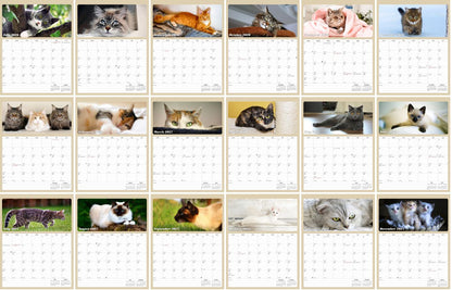 2027 Wall Calendar Spiral-bound Twin-Wire Binding - 12 Months Planner - Large Ruled Blocks with Julian Dates - (Cats)