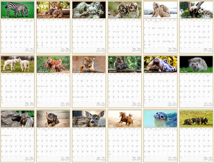 2026 - 2027 Wall Calendar Spiral-bound Twin-Wire Binding - 18 Months Planner - Large Ruled Blocks with Julian Dates - (Baby Animals)