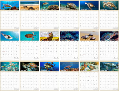 2025 - 2026 Wall Calendar Spiral-bound Twin-Wire Binding - 18 Months Planner - Large Ruled Blocks with Julian Dates - (Turtles)