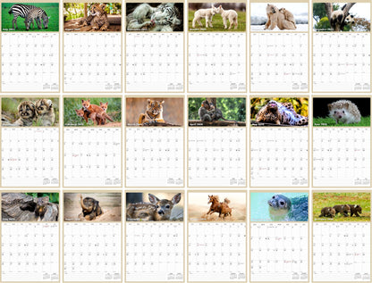 2025 - 2026 Wall Calendar Spiral-bound Twin-Wire Binding - 18 Months Planner - Large Ruled Blocks with Julian Dates - (Baby Animals)