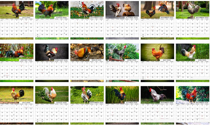 2025-2026 CD-Style Desk Calendar 18 Months Calendar (Roosters)