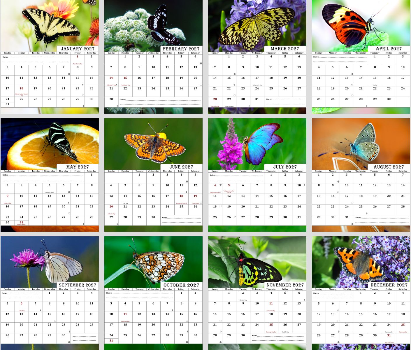 2027 CD-Style Desk Calendar 12 Months Calendar (Butterflies)