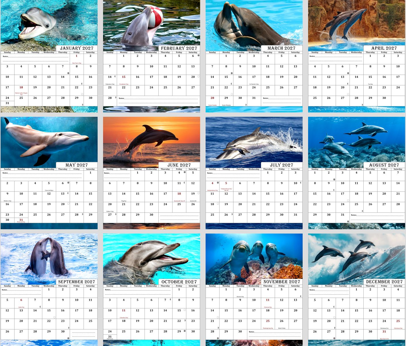 2027 CD-Style Desk Calendar 12 Months Calendar (Dolphins)