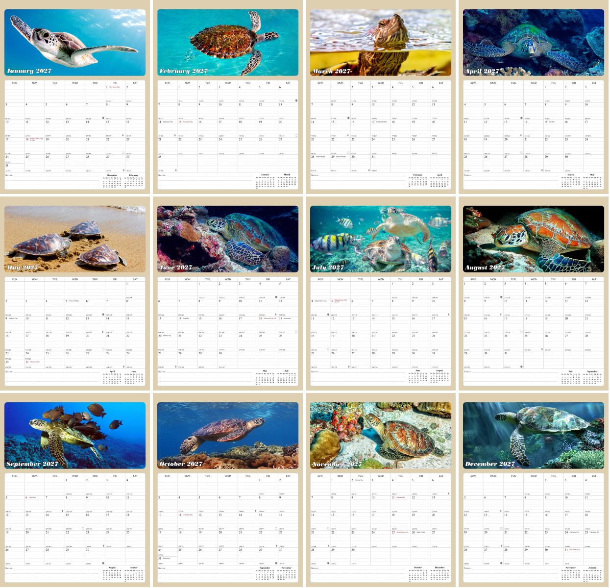 2027 Calendar Magnetic Peel & Stick 12 Months 8.5" x 11" Turtles