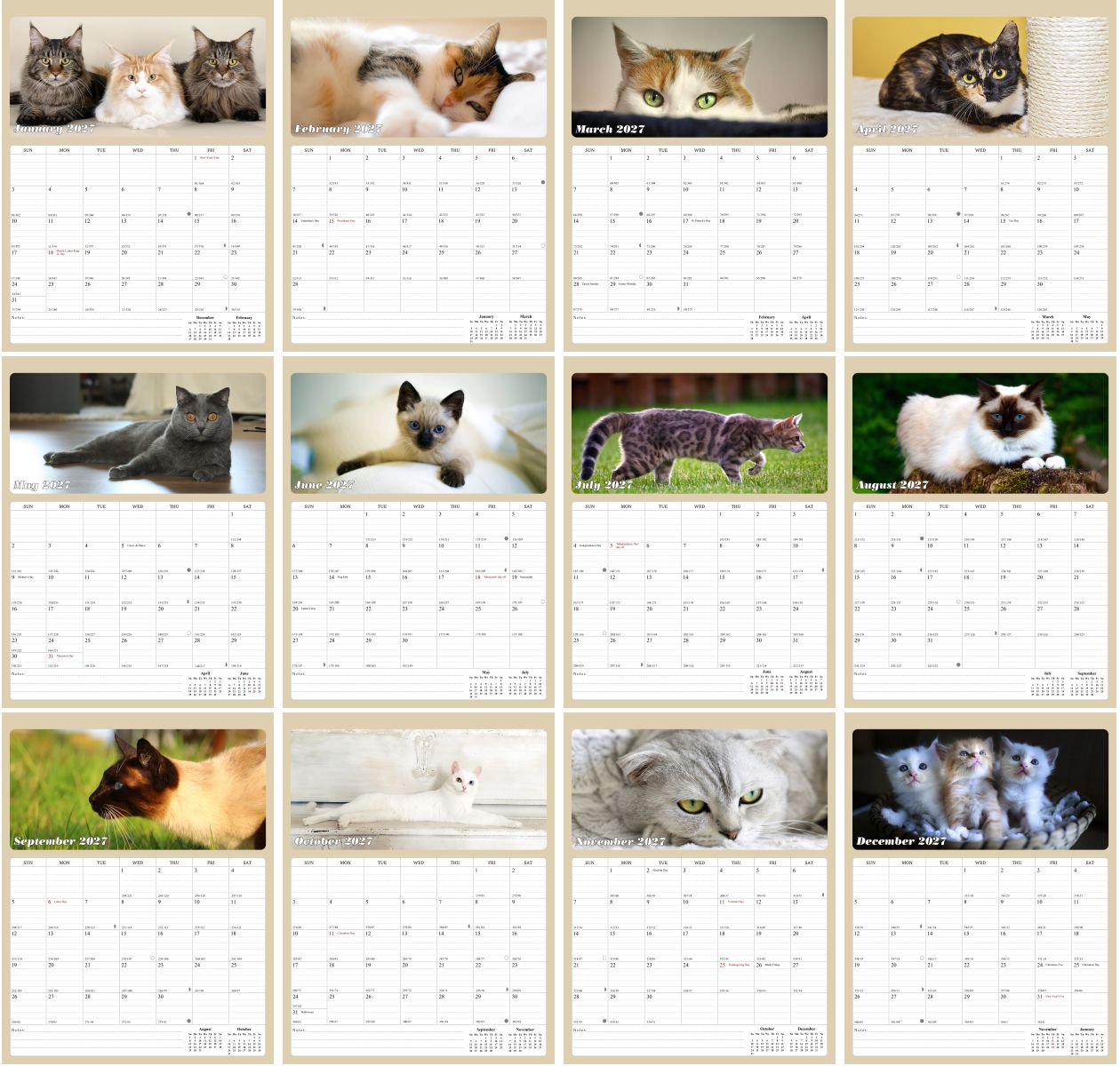 2027 Wall Calendar Spiral-bound Twin-Wire Binding - 12 Months Planner - Large Ruled Blocks with Julian Dates - (Cats)