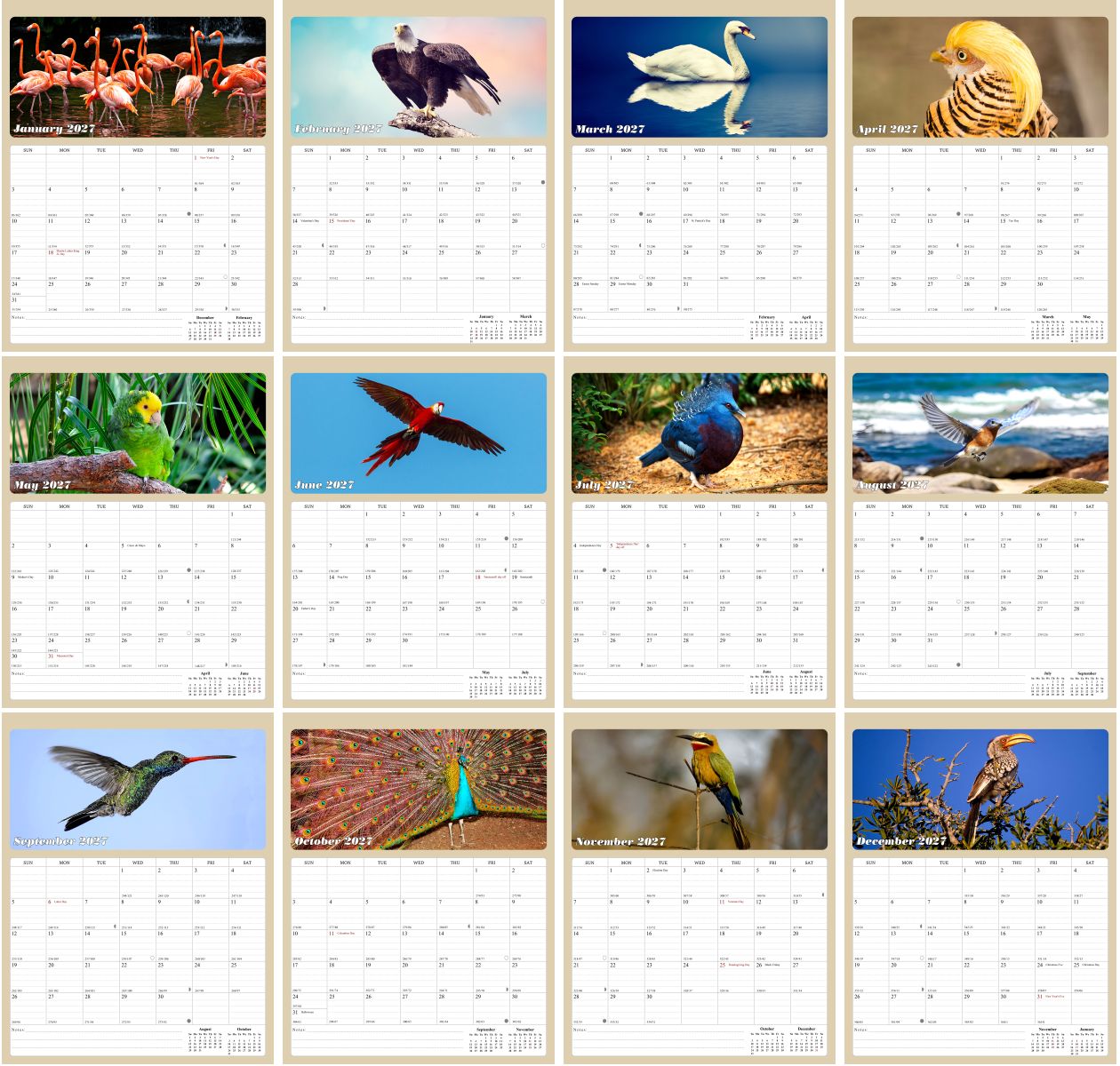 2027 Calendar Magnetic Peel & Stick 12 Months 8.5" x 11" Birds