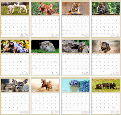 2027 Calendar Magnetic Peel & Stick 12 Months 8.5" x 11" Baby Animals