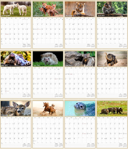 2027 Wall Calendar Spiral-bound Twin-Wire Binding - 12 Months Planner - Large Ruled Blocks with Julian Dates - (Baby Animals)