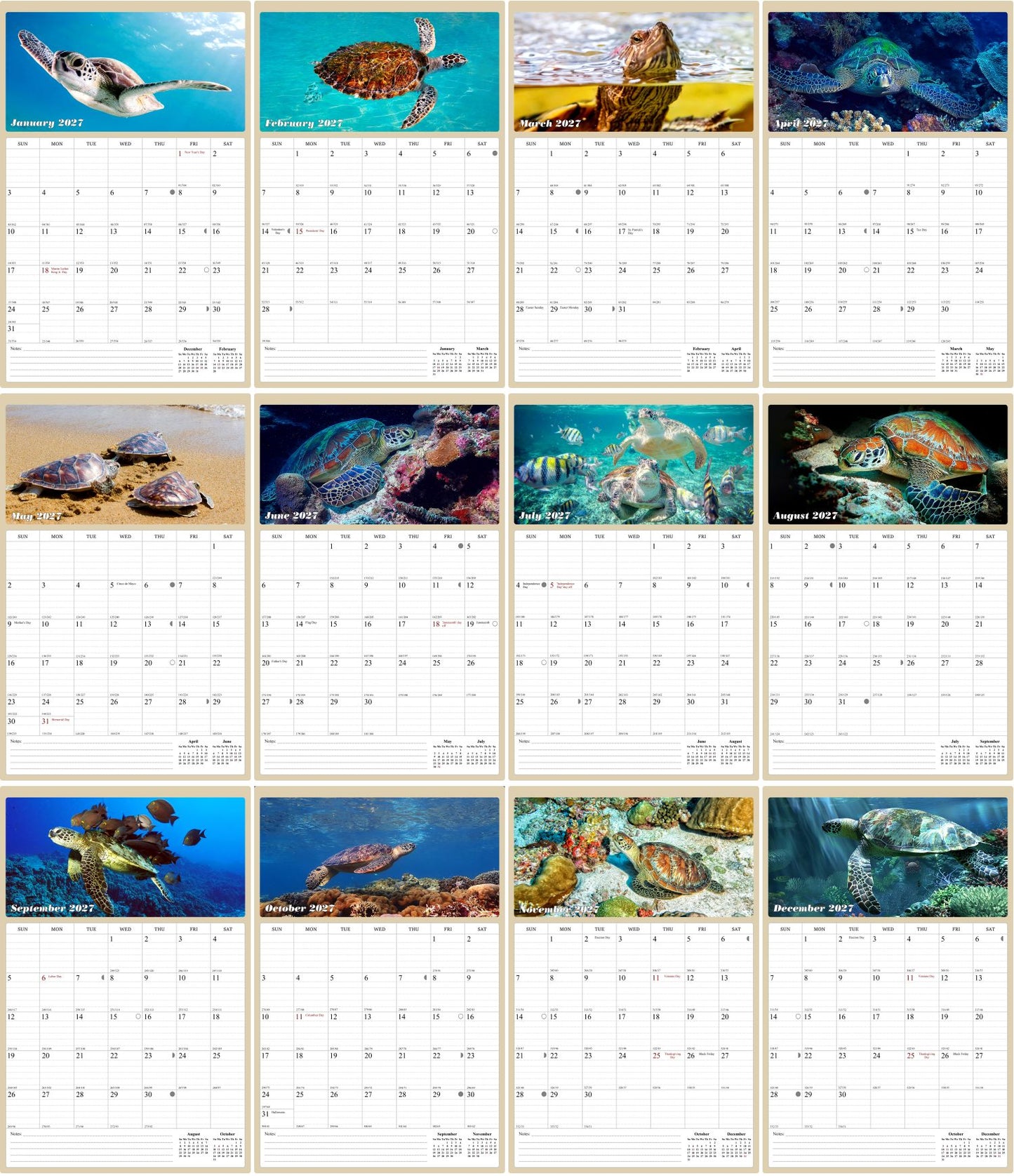 2027 Wall Calendar Spiral-bound Twin-Wire Binding - 12 Months Planner - Large Ruled Blocks with Julian Dates - (Turtles)