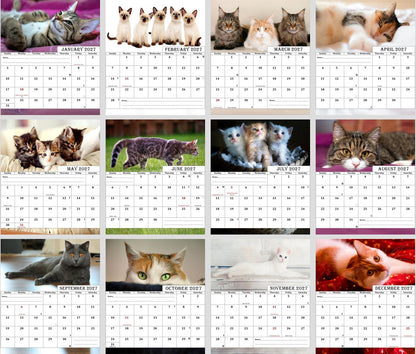 2027 CD-Style Desk Calendar 12 Months Calendar (Cats)